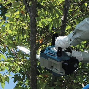 Máy cưa xích chạy xăng Makita DCS232T