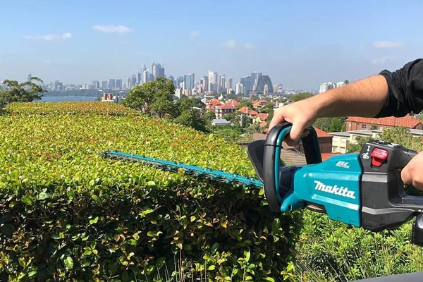 Máy cắt tỉa hàng rào dùng pin Makita DUH602Z (không kèm pin sạc)