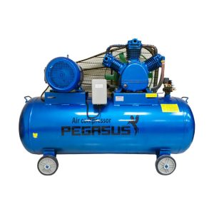 Máy Nén Khí  -  PE TM-W-0.36/8-120L-4HP (220V) Pegasut PE 120L 06