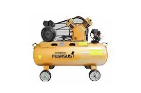 Máy Nén Khí PE TM-W-0.36/8-230L-4HP (220V) Pegasut PE 230L 03