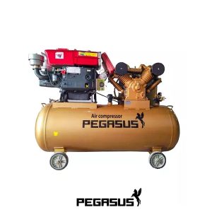 Máy Nén Khí PE TM-W-0.67/12.5-230L-7.5HP (D8) Pegasut PE 230L 11