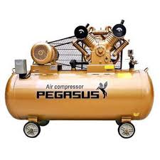 Máy Nén Khí PE TM-V-0.6/8-500L-5.5HP Pegasut PE 500L 01