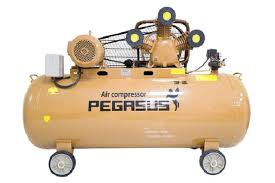 Máy Nén Khí PE TM-W-2.0/8-500L-20HP Pegasut PE 500L 09