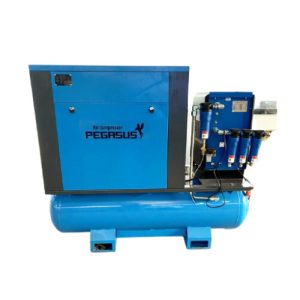 Máy Nén Khí Trục Vít Pegasut TMCP - 20A