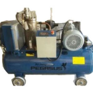 Máy Nén Khí Trục Vít Pegasut TMTV-10A